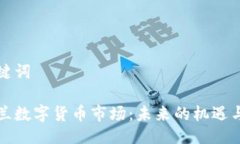 及关键词新西兰数字货币市场：未来的机遇与挑