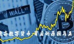 美国废弃数字货币：背后的原因与未来
