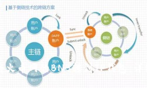 如何将火币网的BNB转到TP钱包：详细指南