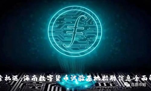 探索机遇:海南数字货币试验基地招聘信息全面解析