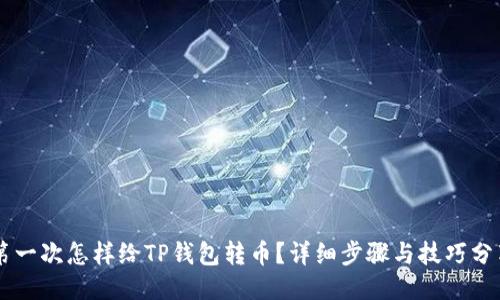 第一次怎样给TP钱包转币?详细步骤与技巧分享