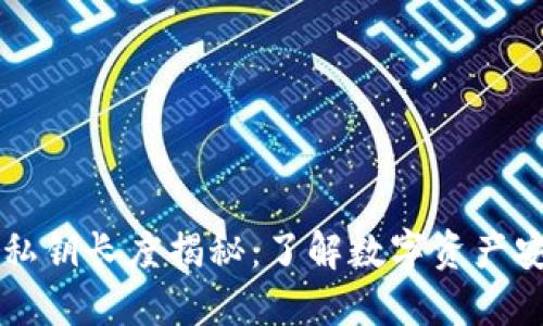 以太坊钱包私钥长度揭秘:了解数字资产安全的第一步
