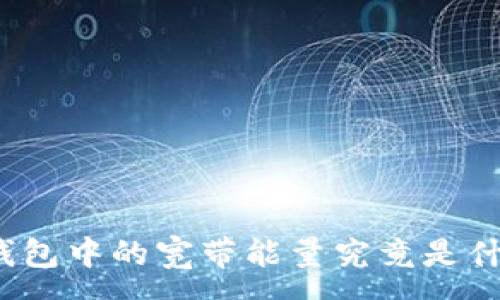 :
TP钱包中的宽带能量究竟是什么？