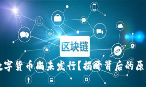 为什么数字货币尚未发行?揭开背后的原因与挑战
