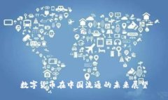 数字货币在中国流通的未来展望