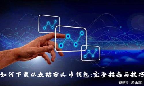 如何下载以太坊分叉币钱包:完整指南与技巧
