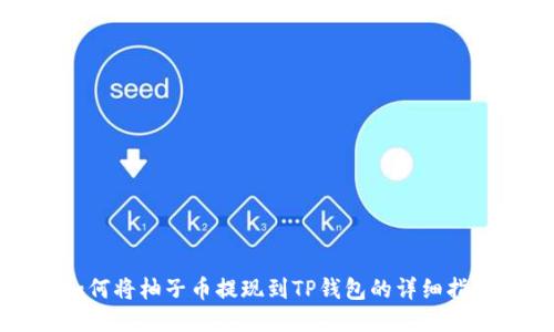 如何将柚子币提现到TP钱包的详细指南