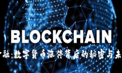 新力金融：数字货币涨停背后的秘密与未来展望