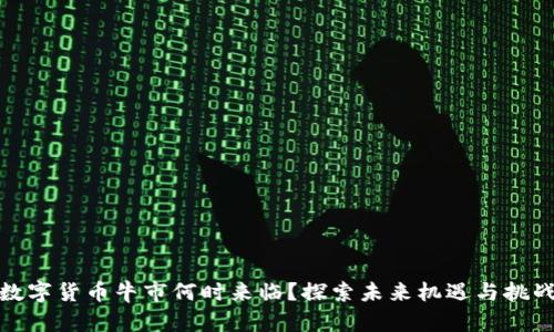 数字货币牛市何时来临？探索未来机遇与挑战