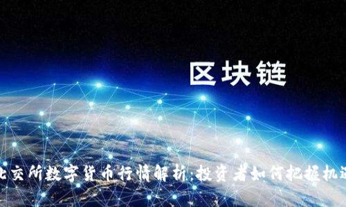 北交所数字货币行情解析：投资者如何把握机遇