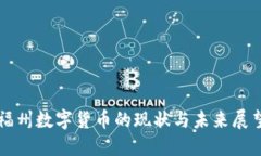 福州数字货币的现状与未来展望