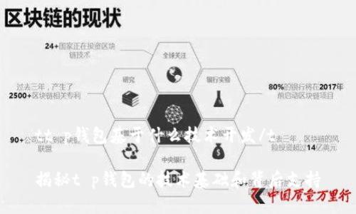 tt p钱包基于什么技术开发/t

揭秘t p钱包的技术基础和背后支持