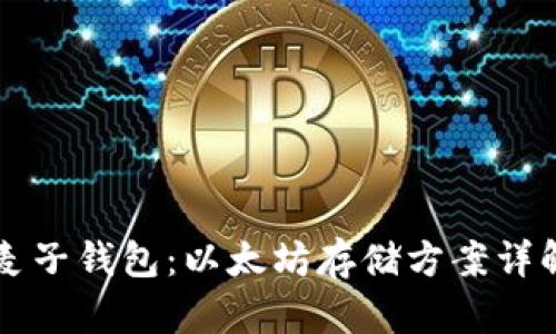 麦子钱包:以太坊存储方案详解