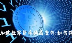 深入揭示新加坡数字货币骗局案例：如