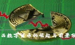 巴西数字货币的崛起与前景分析