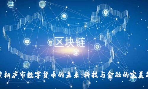 探索桐庐市数字货币的未来：科技与金融的完美融合