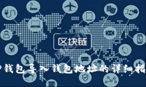 TP钱包导入钱包地址的详细指南