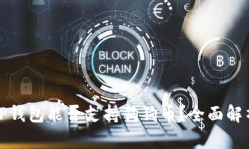 TP钱包能否支持狗狗币?全面解析