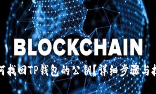 如何找回TP钱包的公钥？详细步骤与技巧