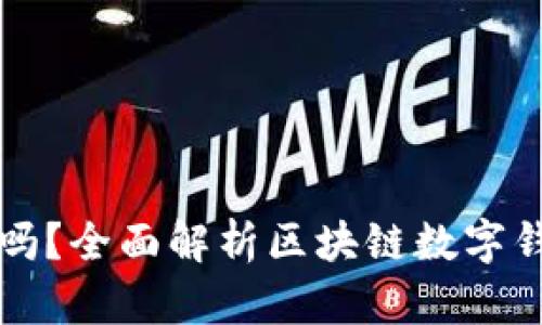 玩TP钱包合法吗？全面解析区块链数字钱包的法律边界