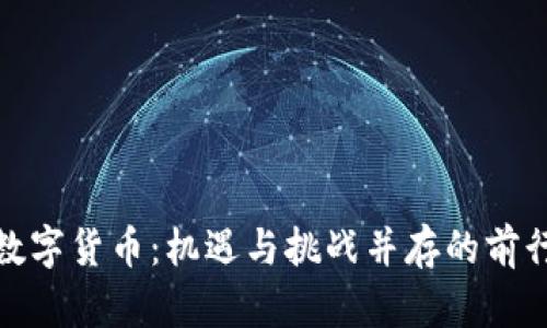 央行数字货币：机遇与挑战并存的前行之路