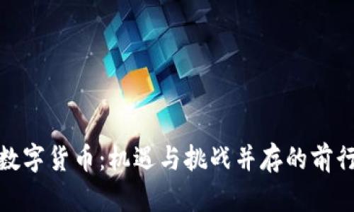 央行数字货币：机遇与挑战并存的前行之路