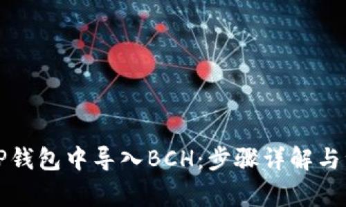如何在TP钱包中导入BCH：步骤详解与注意事项
