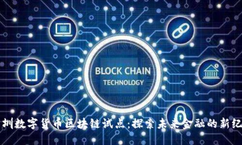 深圳数字货币区块链试点：探索未来金融的新纪元