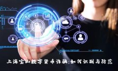 上海宝山数字货币诈骗：如何识别与防