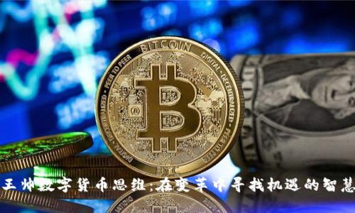 王帅数字货币思维:在变革中寻找机遇的智慧