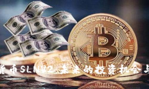 探索数字货币SLNV2:未来的投资机会与市场趋势