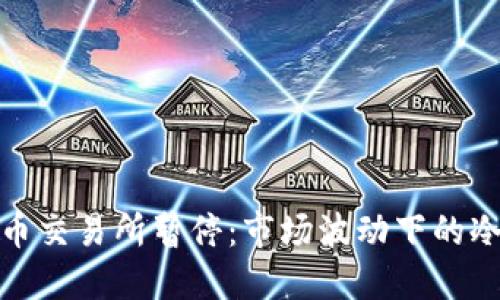 数字货币交易所暂停:市场波动下的冷静思考