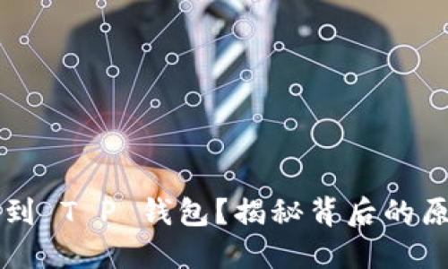 为何你搜索不到 T P 钱包?揭秘背后的原因与解决方案