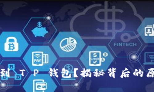 为何你搜索不到 T P 钱包?揭秘背后的原因与解决方案