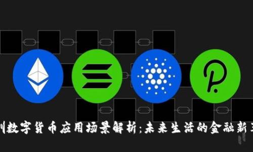 深圳数字货币应用场景解析:未来生活的金融新革命