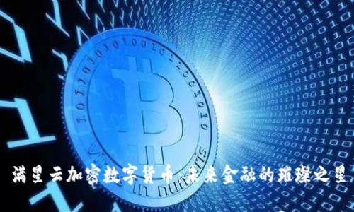 满星云加密数字货币:未来金融的璀璨之星