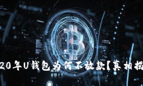 2020年U钱包为何不放款？真相揭秘！