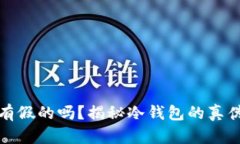 TP冷钱包有假的吗？揭秘冷钱包的真伪